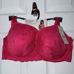 NWT Lace Balconette Color Melon Size 40DD
